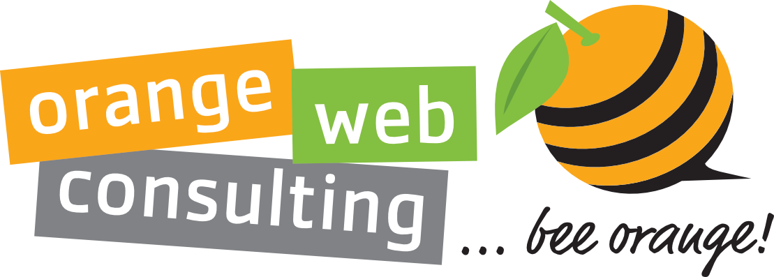 Logo der Firma orange web consulting